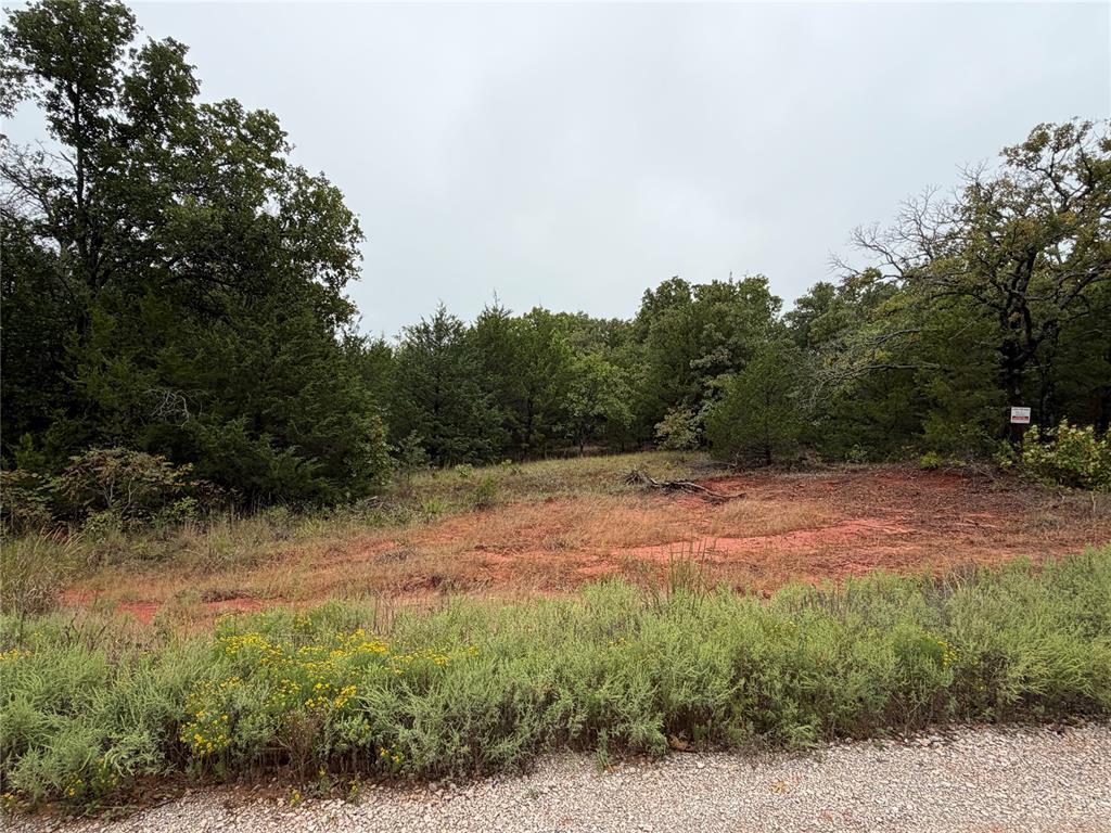 37031 Stone Ridge Drive Property Photo 1