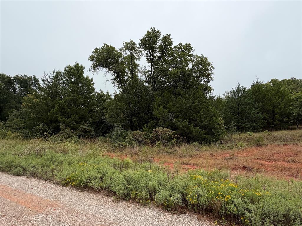 37031 Stone Ridge Drive Property Photo 2