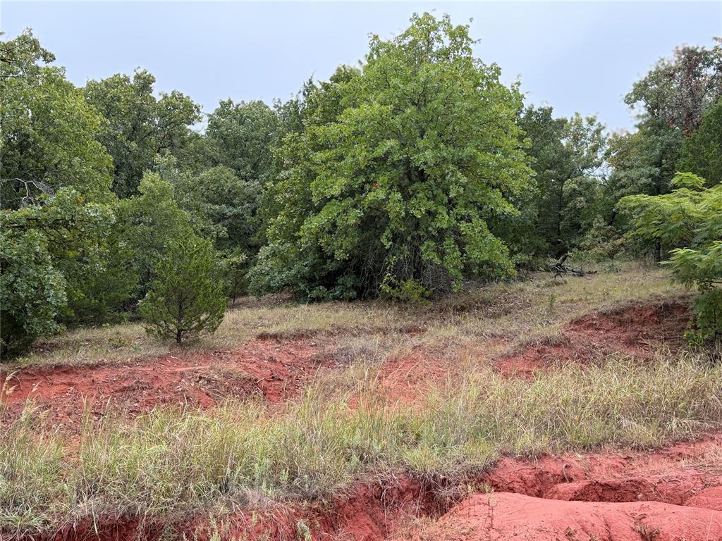 37031 Stone Ridge Drive Property Photo 3