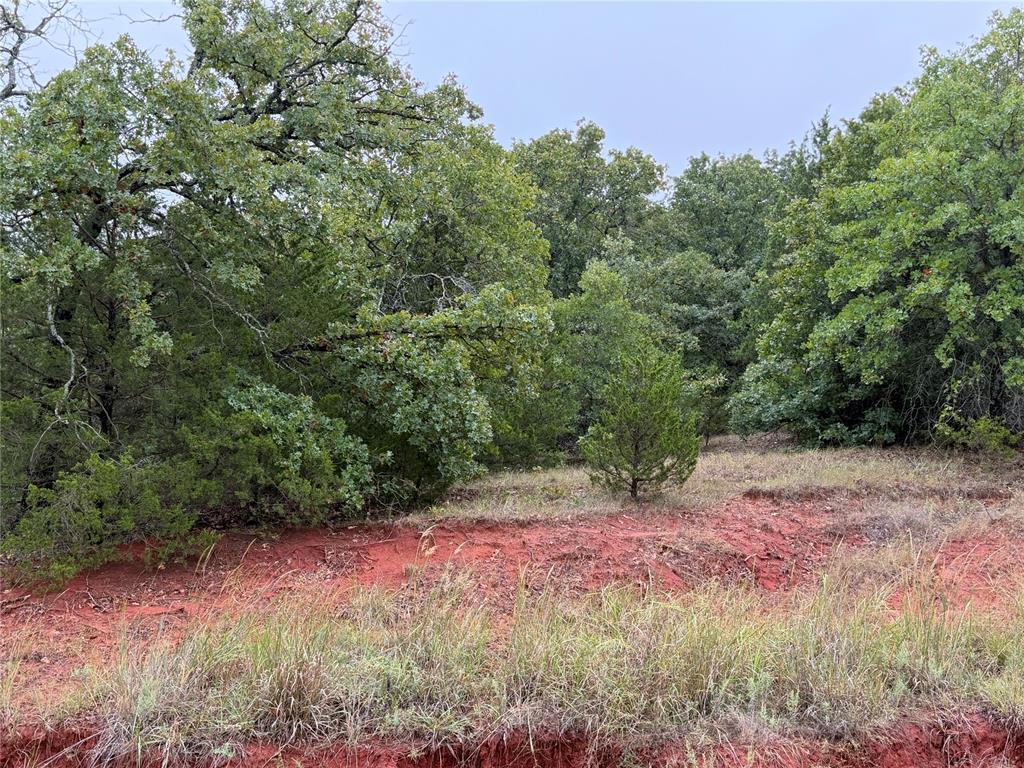 37031 Stone Ridge Drive Property Photo 4