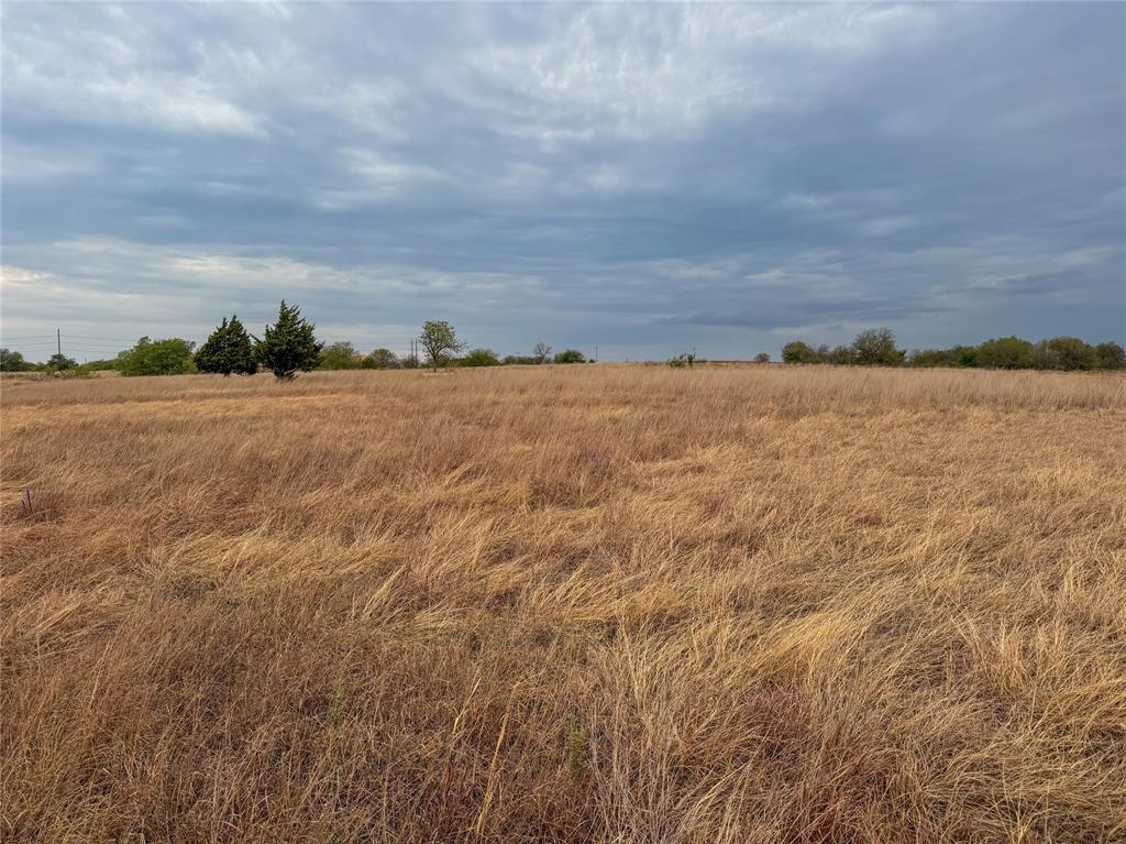 Frisco Road Property Photo 24