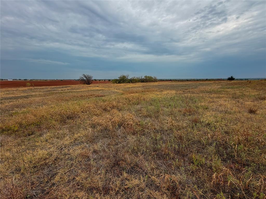 Frisco Road Property Photo 27
