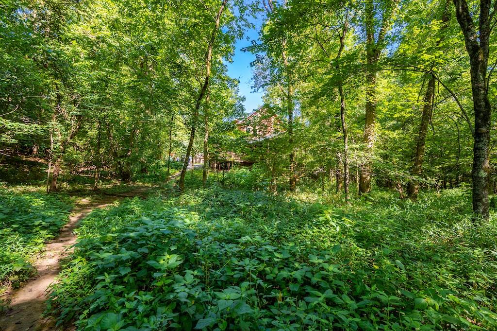 637 High Peak Trail Property Photo 35