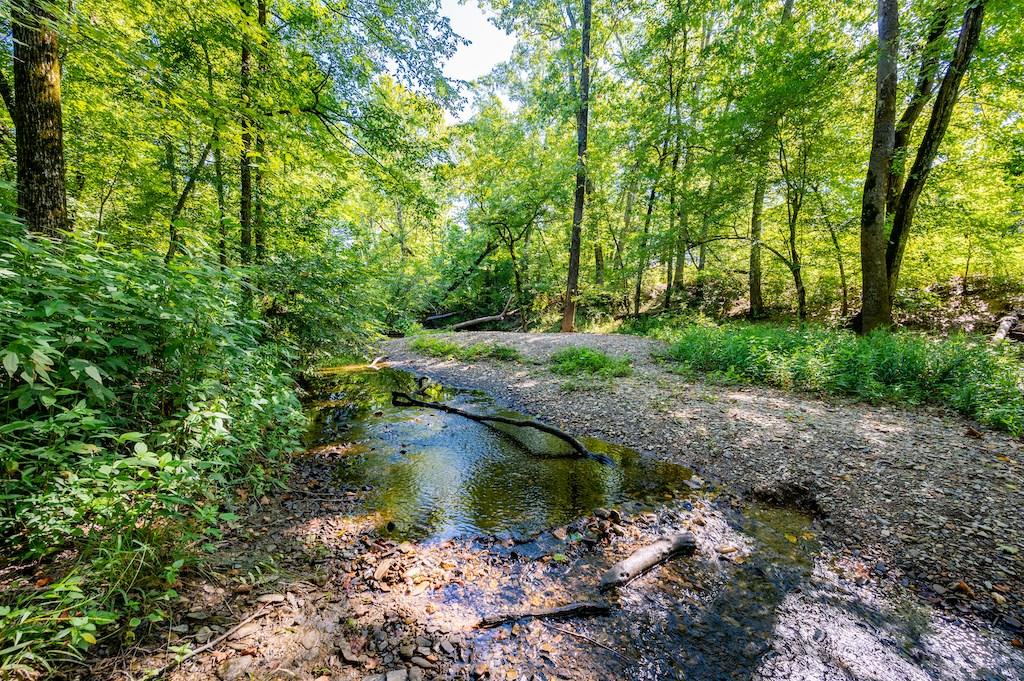637 High Peak Trail Property Photo 36