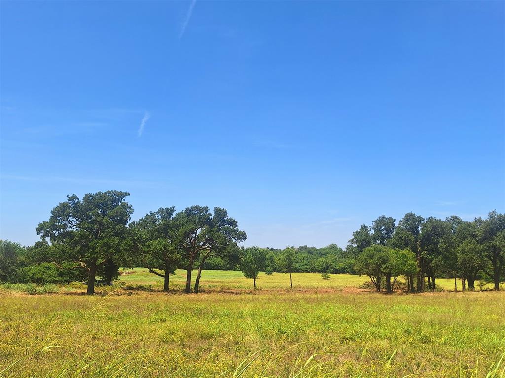 6242 Lake Breeze Drive Property Photo 1