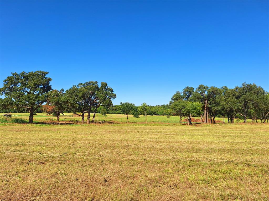 6242 Lake Breeze Drive Property Photo 2