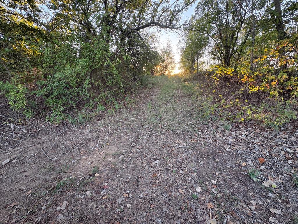 57842 Wolverine Road Property Photo 11