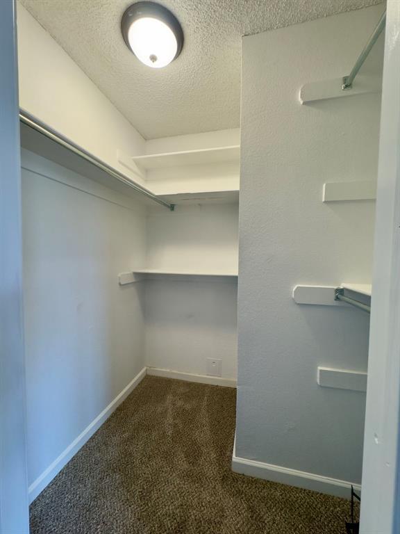 14002 Crossing Way Property Photo 7