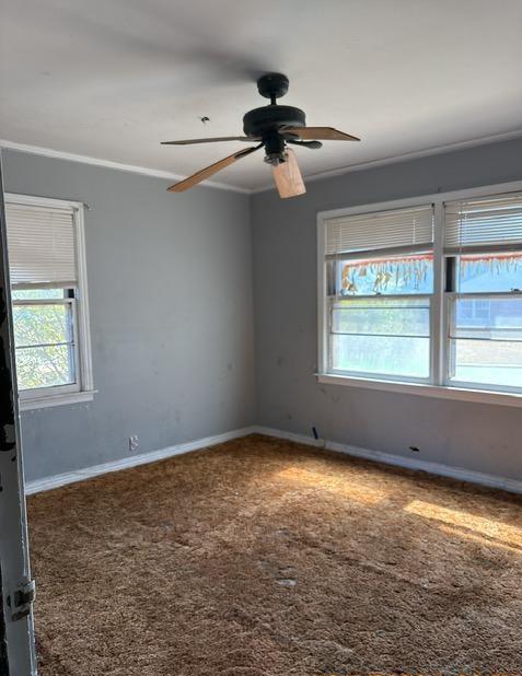 1117 Lee Avenue Property Photo 17