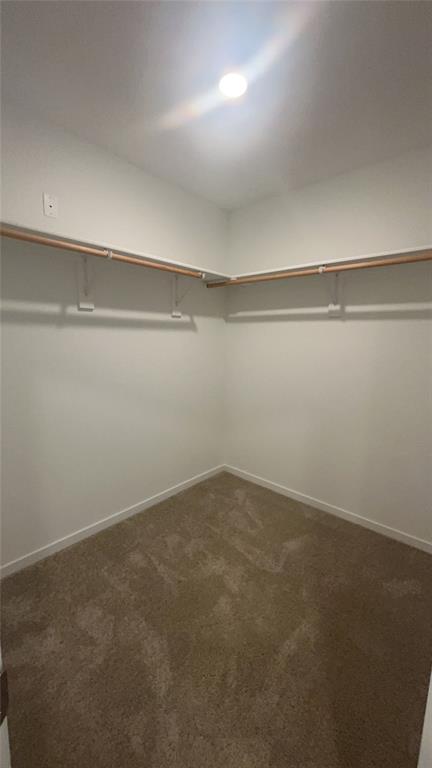 20501 Velvet Street Property Photo 8