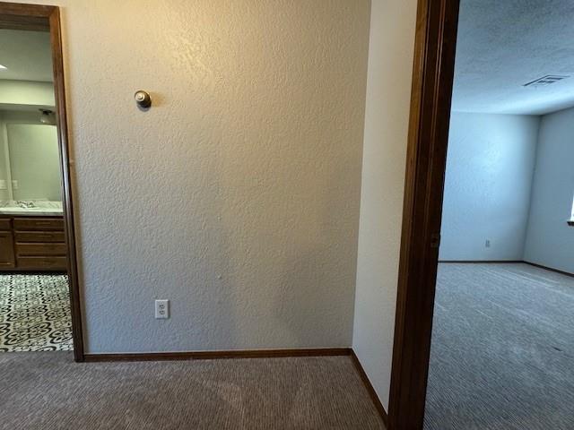 2913 Village Circle Property Photo 19