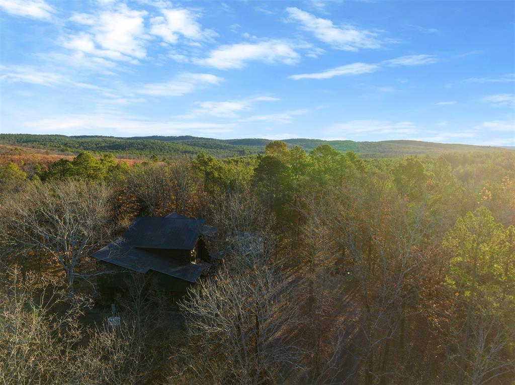 136 Woodland Lakes Trail Property Photo 39