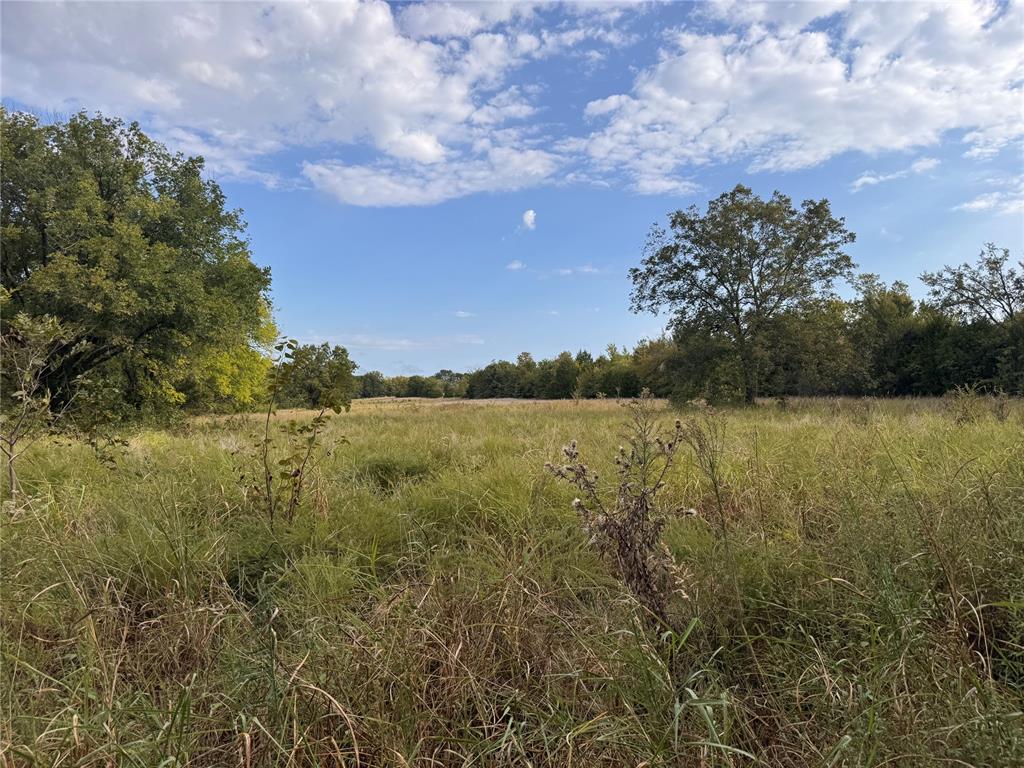 35641 Ew 1170 Road Property Photo 4
