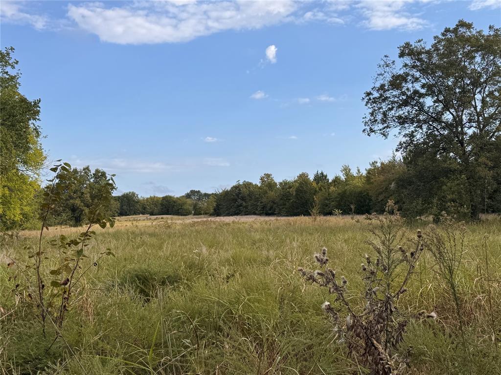 35641 Ew 1170 Road Property Photo 5