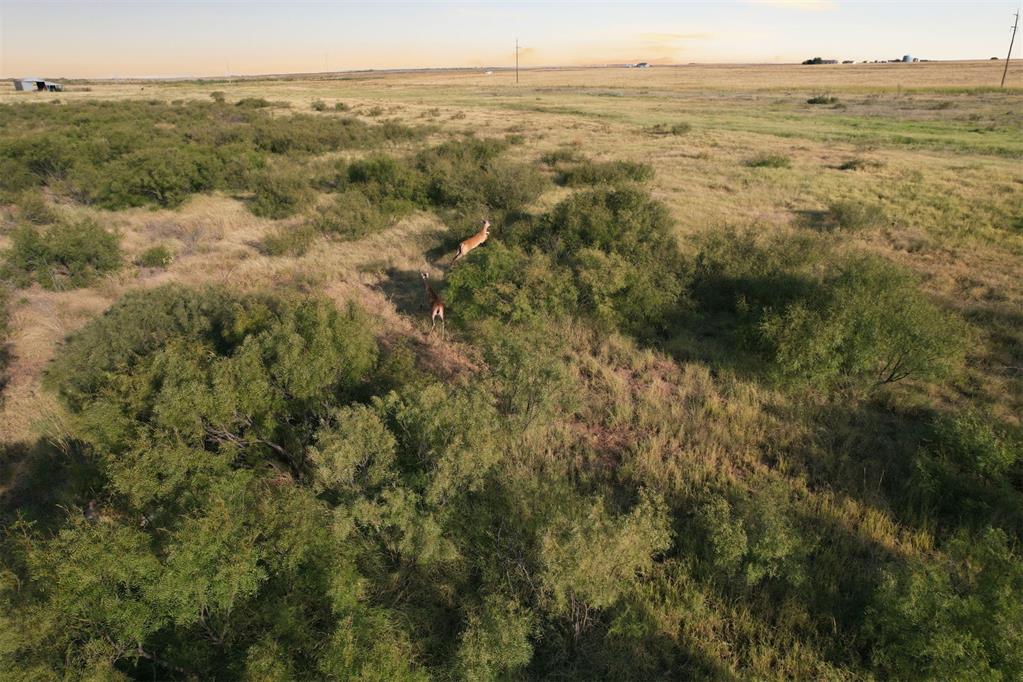 1254781 Property Photo 1