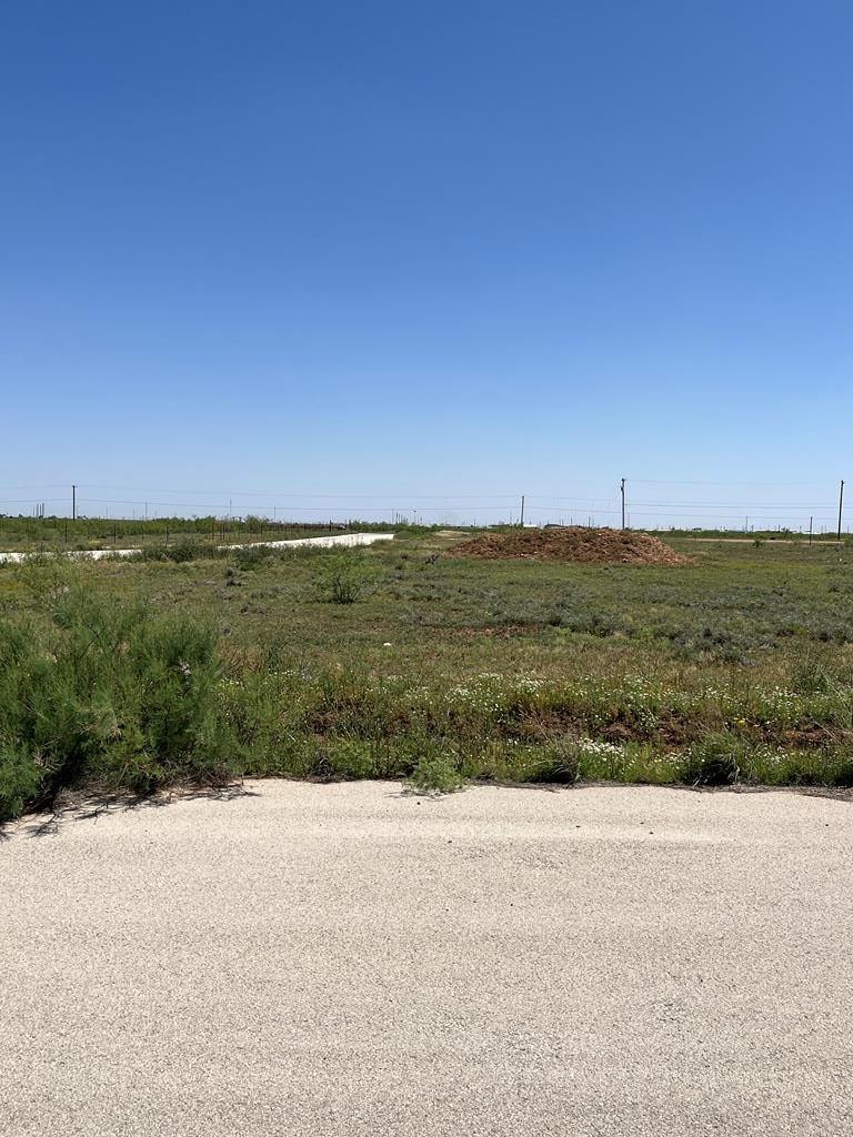 2334 Longhorn Dr Property Photo 1