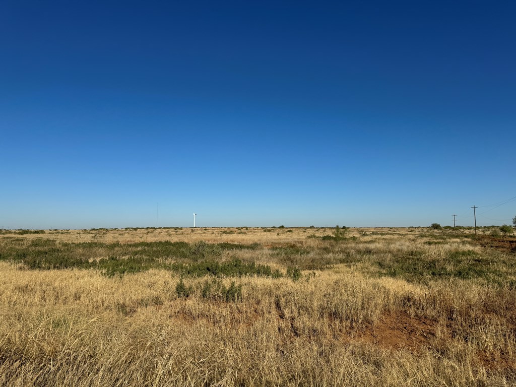 9298 County Rd 238 Property Photo 11