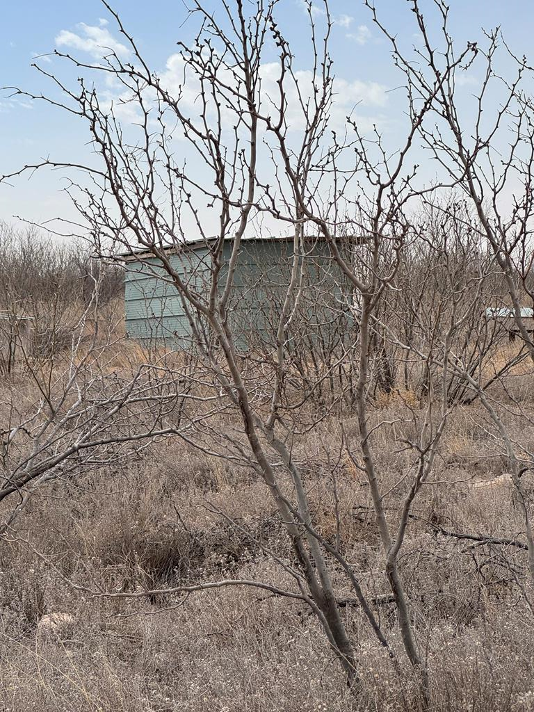 0000 S Fm 461 Property Photo