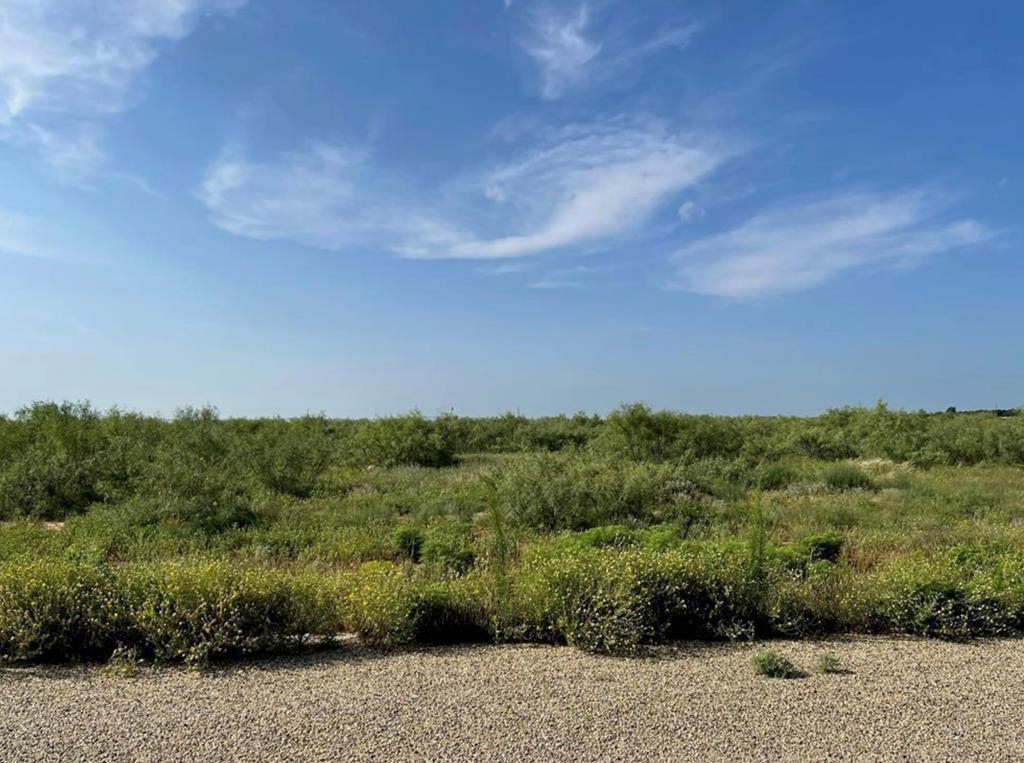 13801 County Rd 113 Property Photo 1