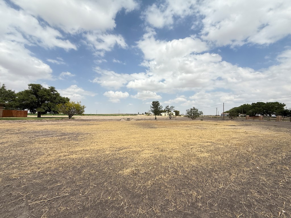 8610 Hwy 17 Property Photo 43