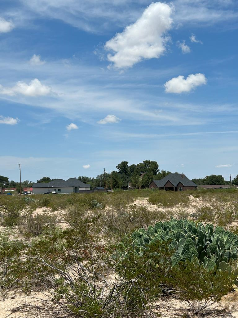 0 Hackberry Drive Property Photo 1