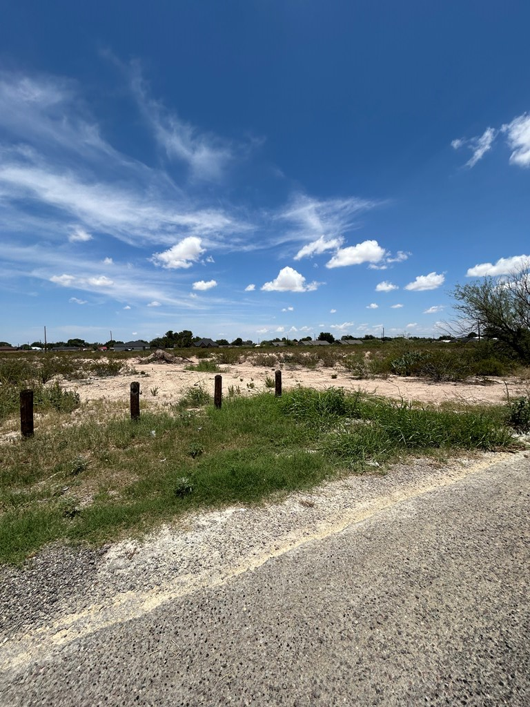 0 Hackberry Drive Property Photo 3