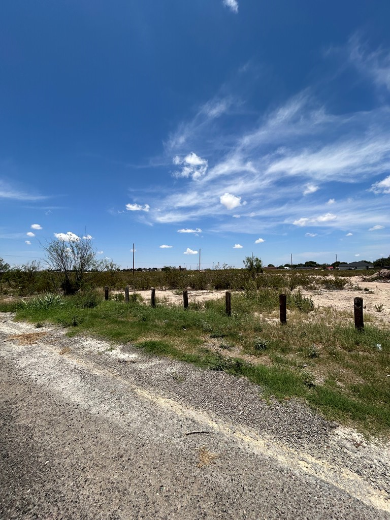 0 Hackberry Drive Property Photo 4