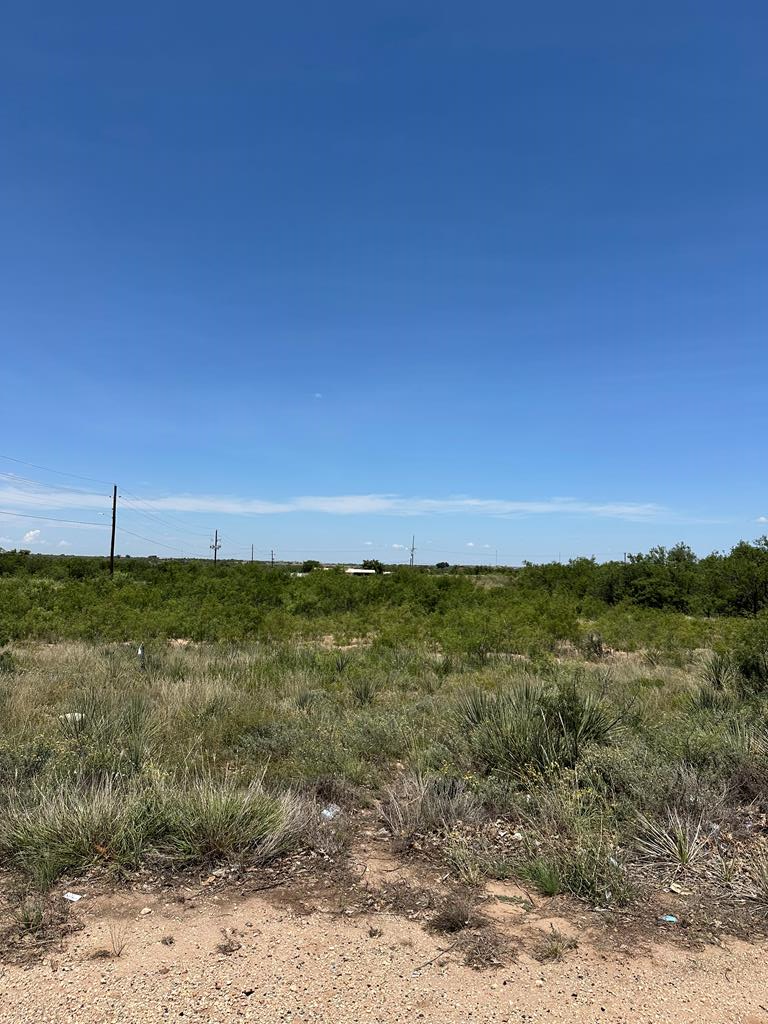 000 Houston Property Photo 1