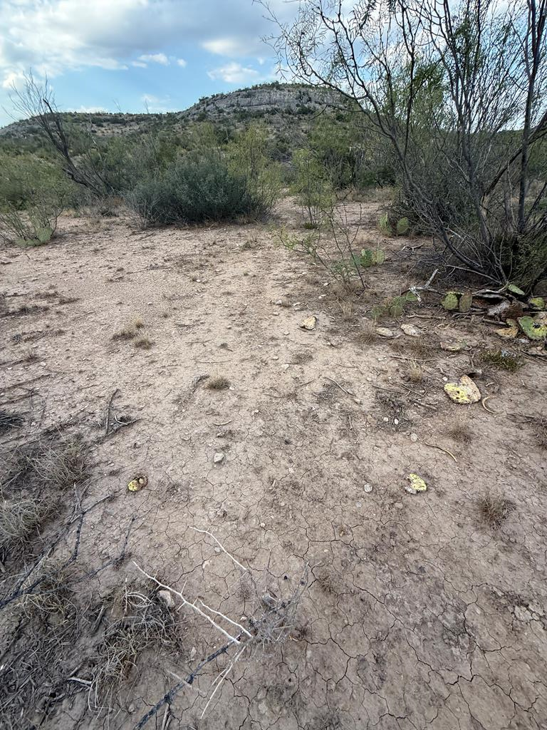 0000 Cactus Rose Lane Property Photo 1