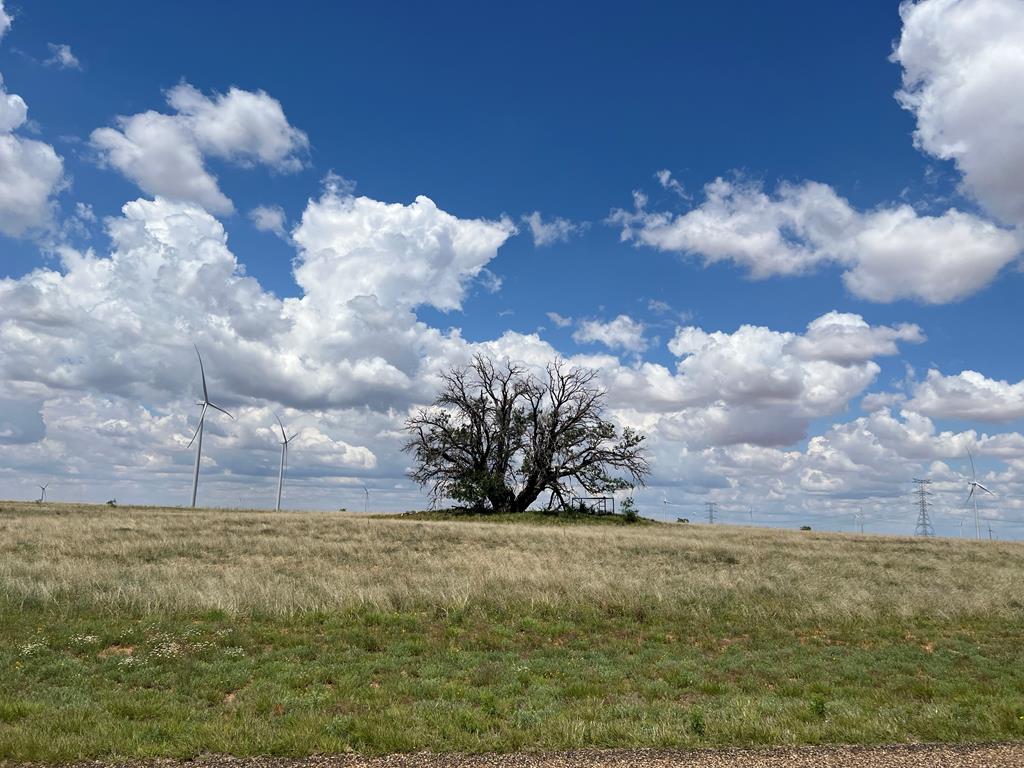 000 Round Top Road Property Photo 1