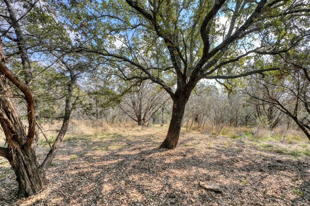 103 Palmie Lane Property Photo 9