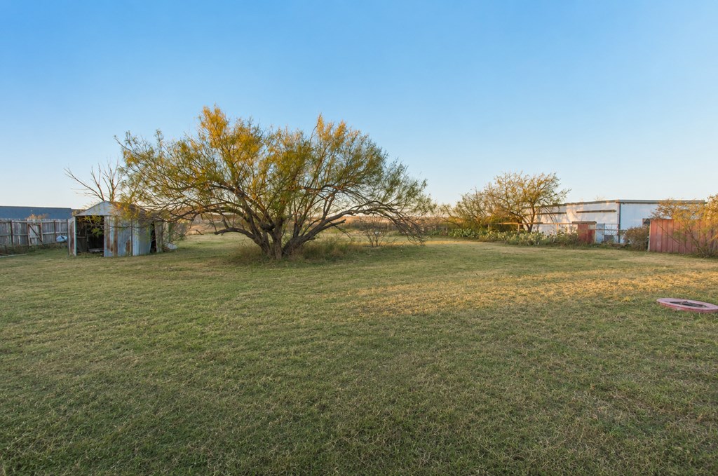 2202 Carl St Property Photo 5