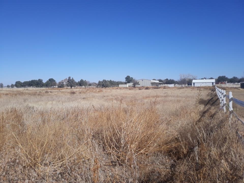 5108 Whitman Dr Property Photo 1