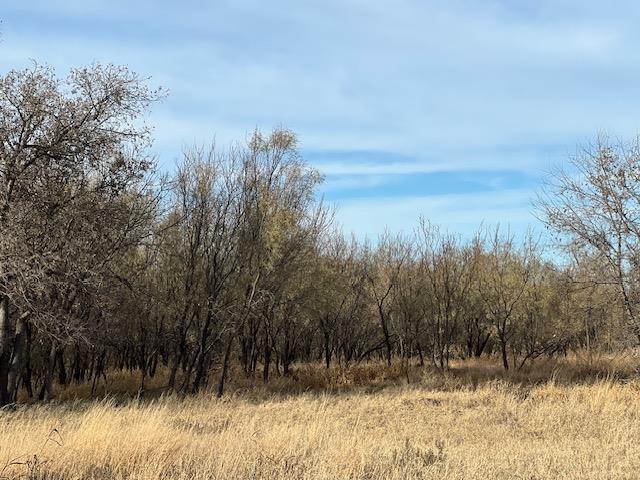 0 County Rd 4156