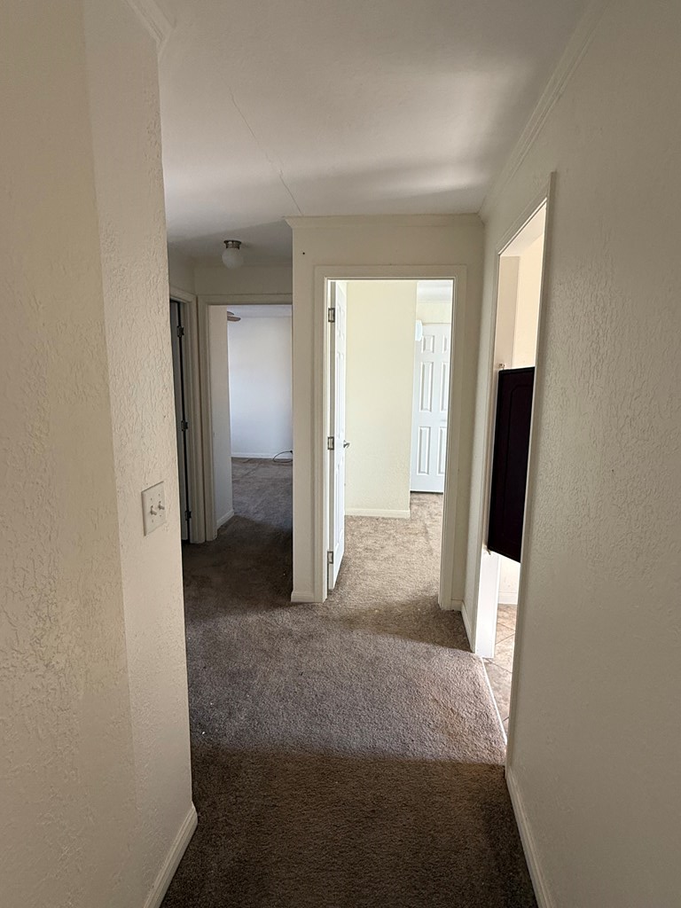 3081 County Rd 129 Property Photo 21