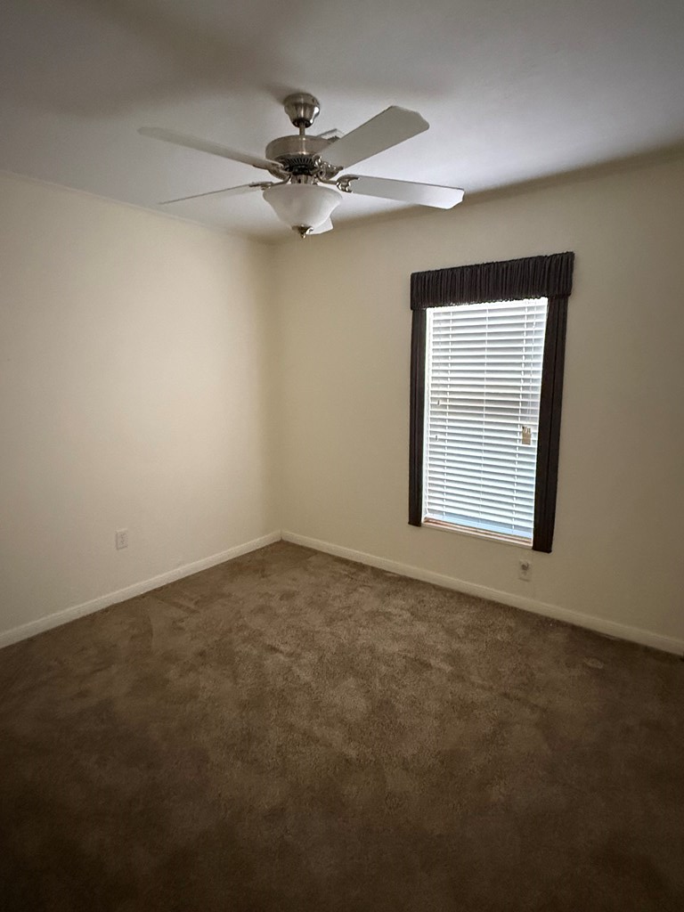 3081 County Rd 129 Property Photo 34