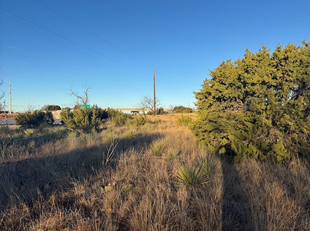 Ave E Hwy 84 Property Photo 2