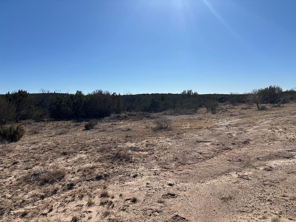 000 County Rd 4102 Property Photo 1