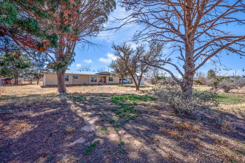 6808 E County Rd 97 Property Photo 2