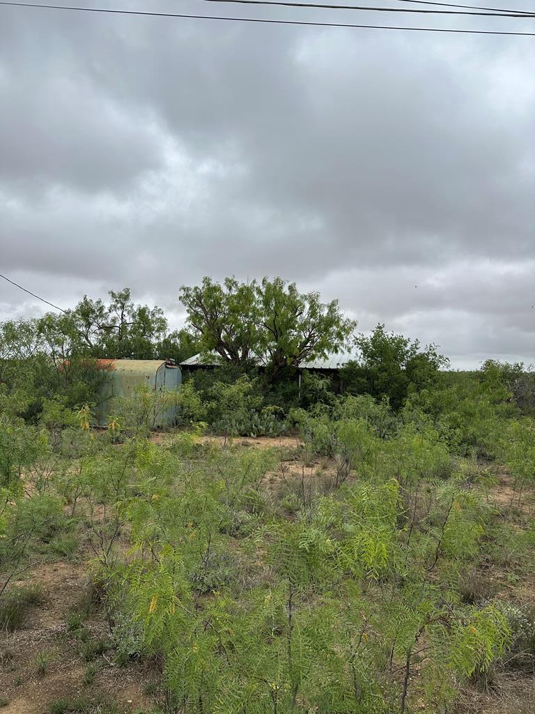 50094508 Property Photo 1