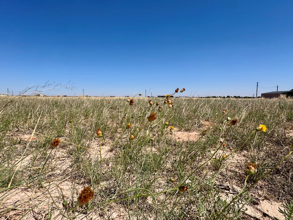 436d Pr 107-e Property Photo 4