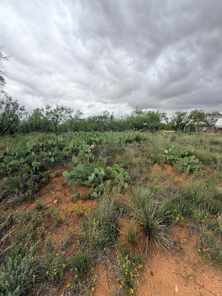 0 White Rd Property Photo 1