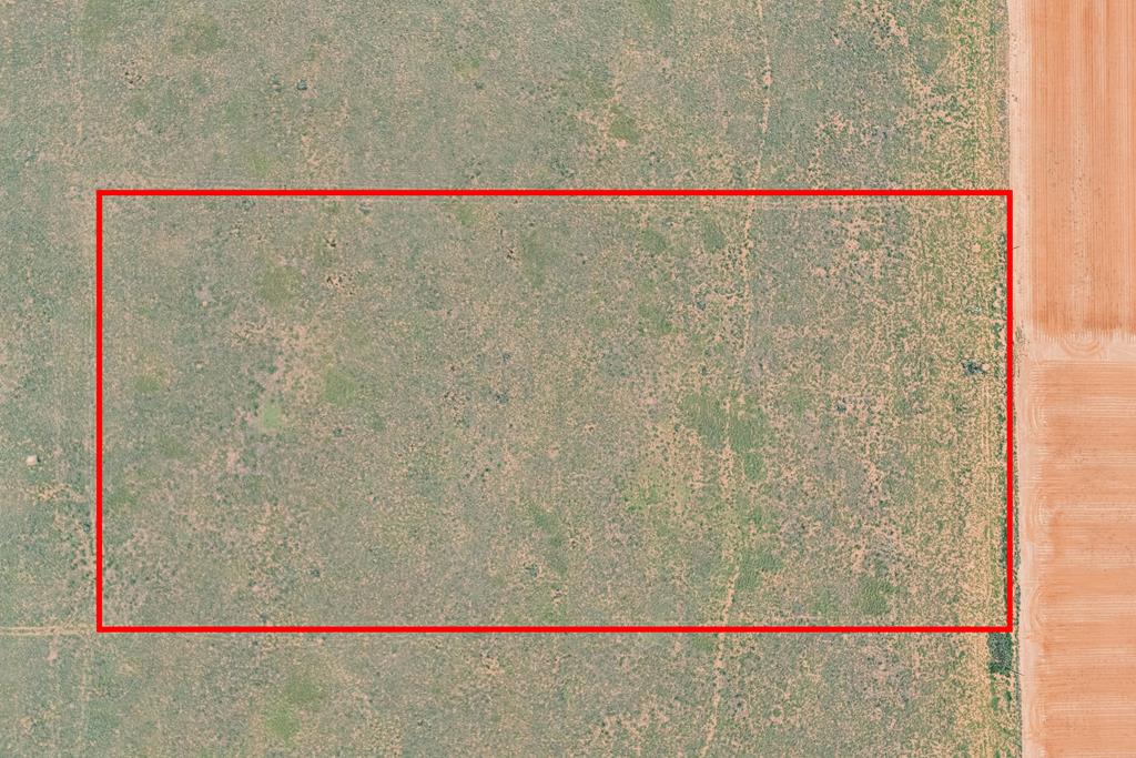 Lot 13 County Rd 390 Property Photo 1
