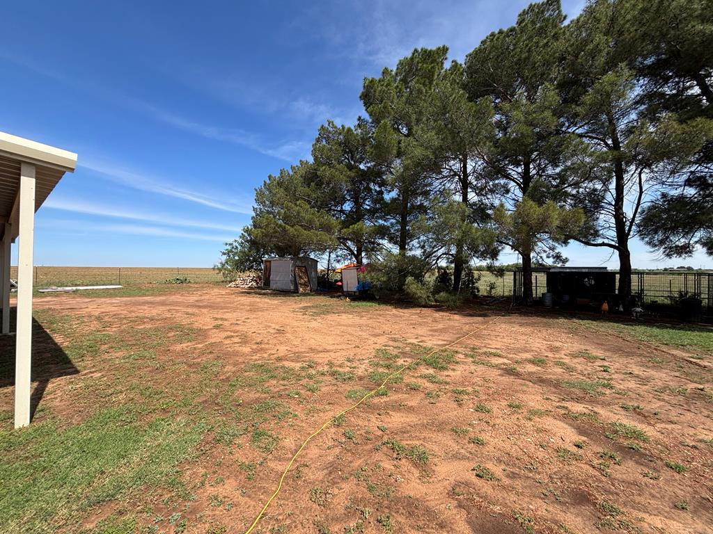 3706 Fm 1607 Property Photo 50