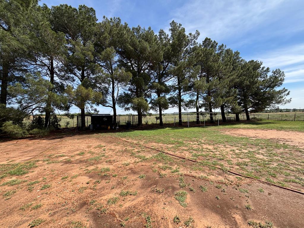 3706 Fm 1607 Property Photo 51