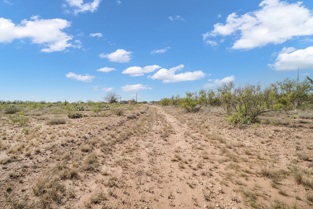 401 Matt Loop Rd Property Photo 18