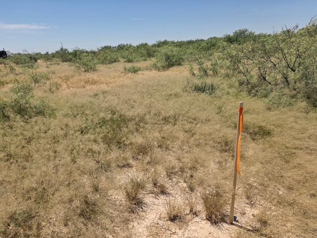 6618 S County Rd 1058 Property Photo