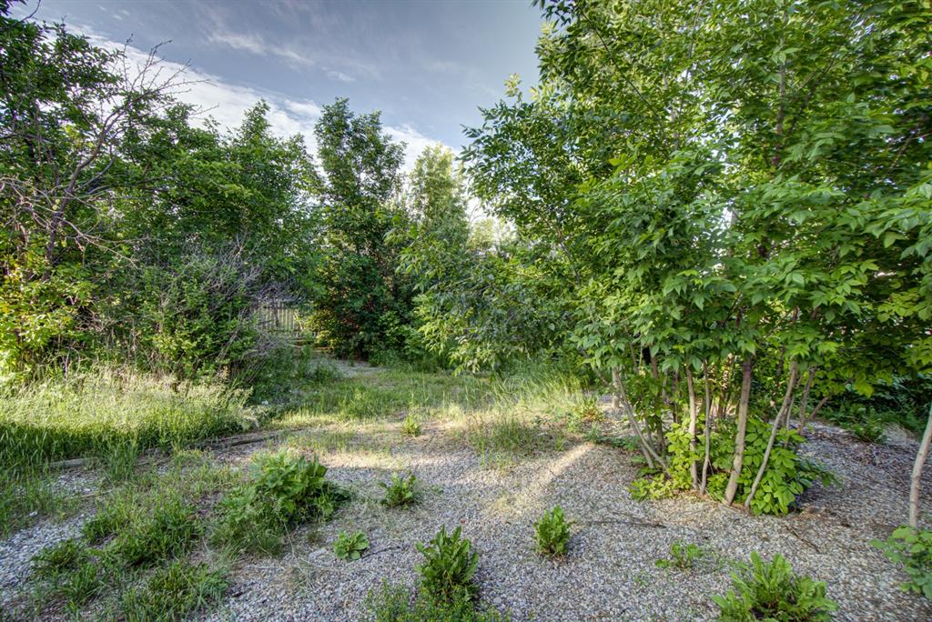 317 Dufferin Street Property Photo 4