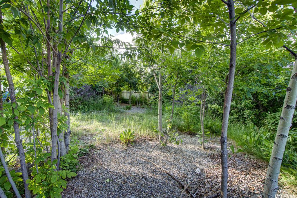 317 Dufferin Street Property Photo 5