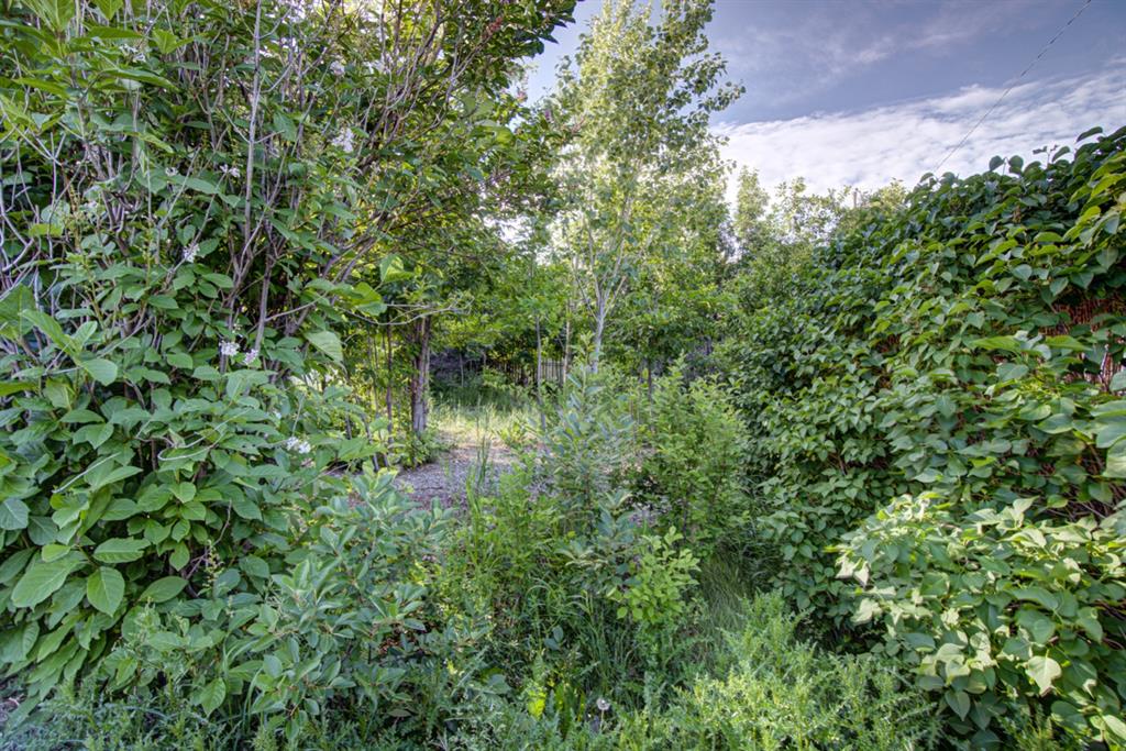 317 Dufferin Street Property Photo 6